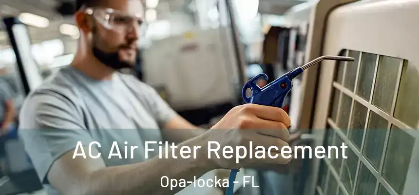 AC Air Filter Replacement Opa-locka - FL