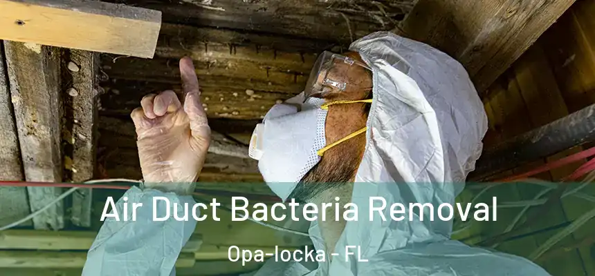 Air Duct Bacteria Removal Opa-locka - FL