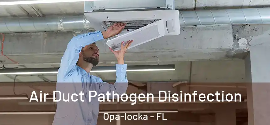 Air Duct Pathogen Disinfection Opa-locka - FL