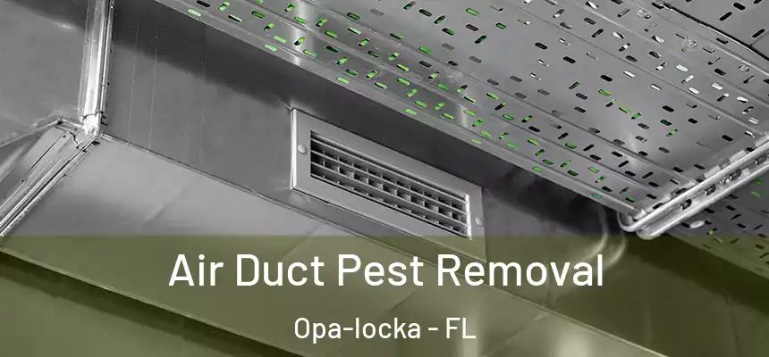 Air Duct Pest Removal Opa-locka - FL