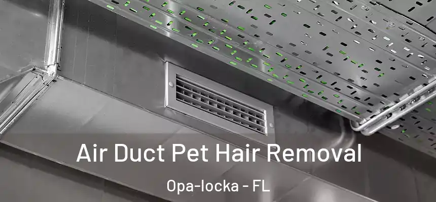 Air Duct Pet Hair Removal Opa-locka - FL