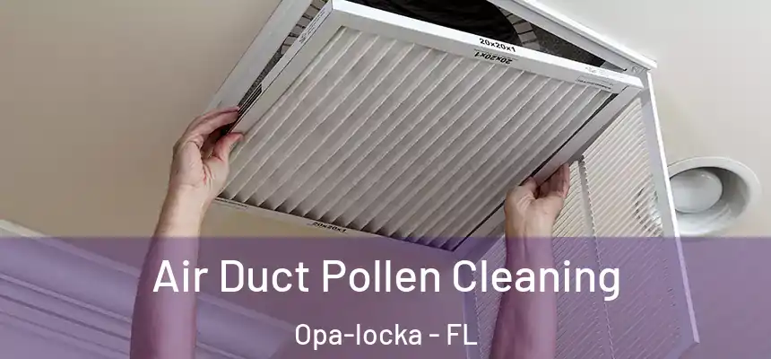 Air Duct Pollen Cleaning Opa-locka - FL