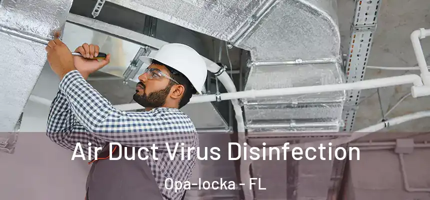 Air Duct Virus Disinfection Opa-locka - FL