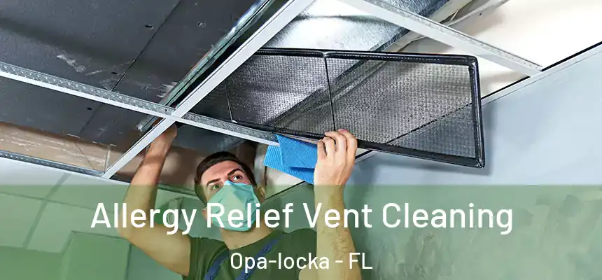 Allergy Relief Vent Cleaning Opa-locka - FL