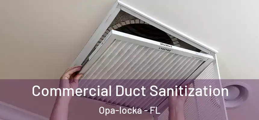 Commercial Duct Sanitization Opa-locka - FL
