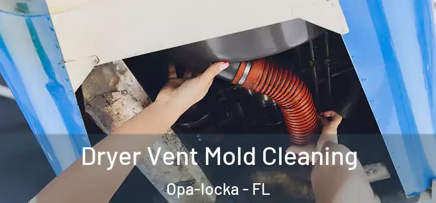 Dryer Vent Mold Cleaning Opa-locka - FL