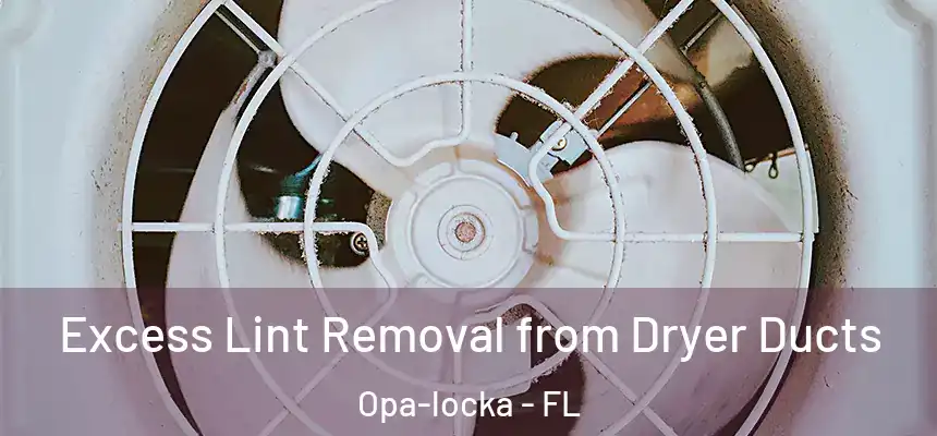Excess Lint Removal from Dryer Ducts Opa-locka - FL