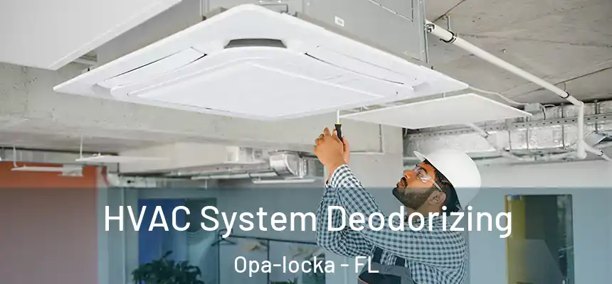 HVAC System Deodorizing Opa-locka - FL