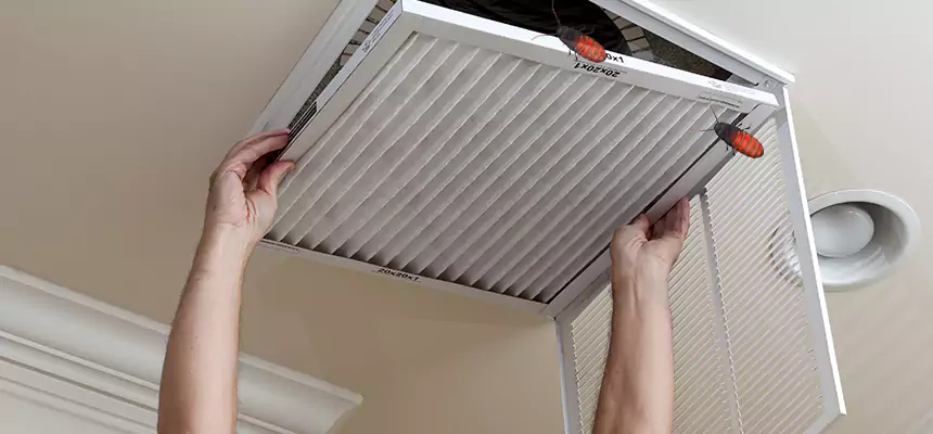 Our Insect Removal from Air Ducts Services in Opa-locka, FL