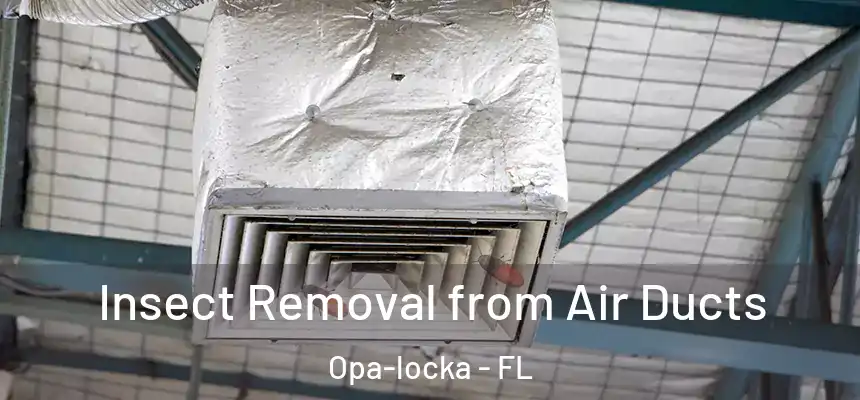 Insect Removal from Air Ducts Opa-locka - FL