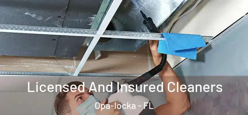 Licensed And Insured Cleaners Opa-locka - FL