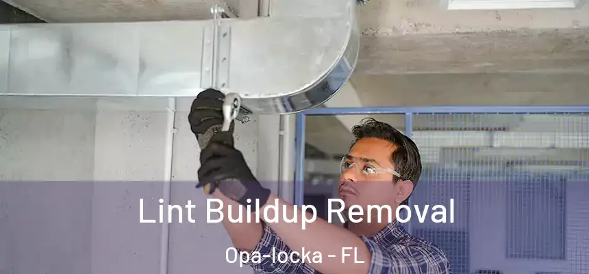 Lint Buildup Removal Opa-locka - FL