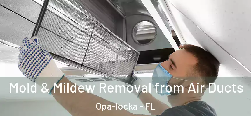 Mold & Mildew Removal from Air Ducts Opa-locka - FL