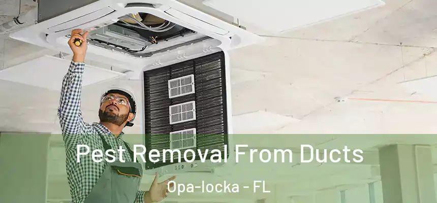 Pest Removal From Ducts Opa-locka - FL