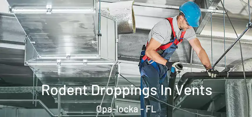 Rodent Droppings In Vents Opa-locka - FL