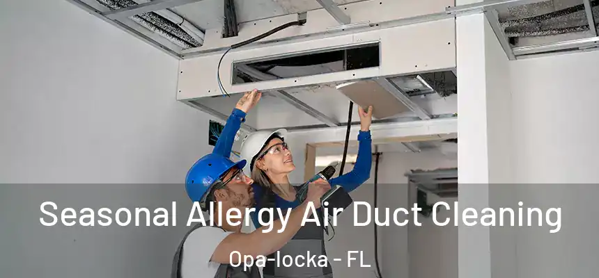 Seasonal Allergy Air Duct Cleaning Opa-locka - FL