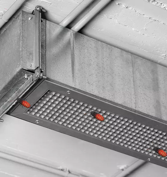 About Air Duct Cockroach Removal in Opa-locka, FL