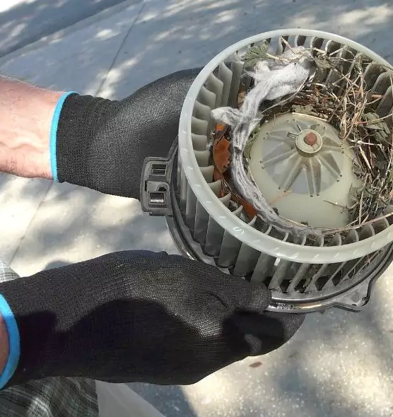 About Air Duct Rat Removal in Opa-locka, FL