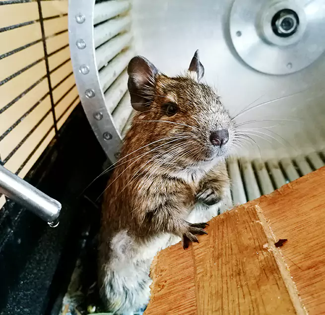 Why Homeowners & Businesses Trust Us Opa-locka, FL