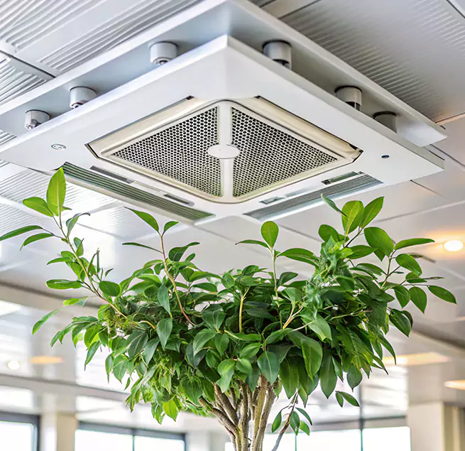 Why Homeowners & Businesses Trust Us in Opa-locka, FL?